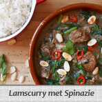 Lamscurry met Spinazie
